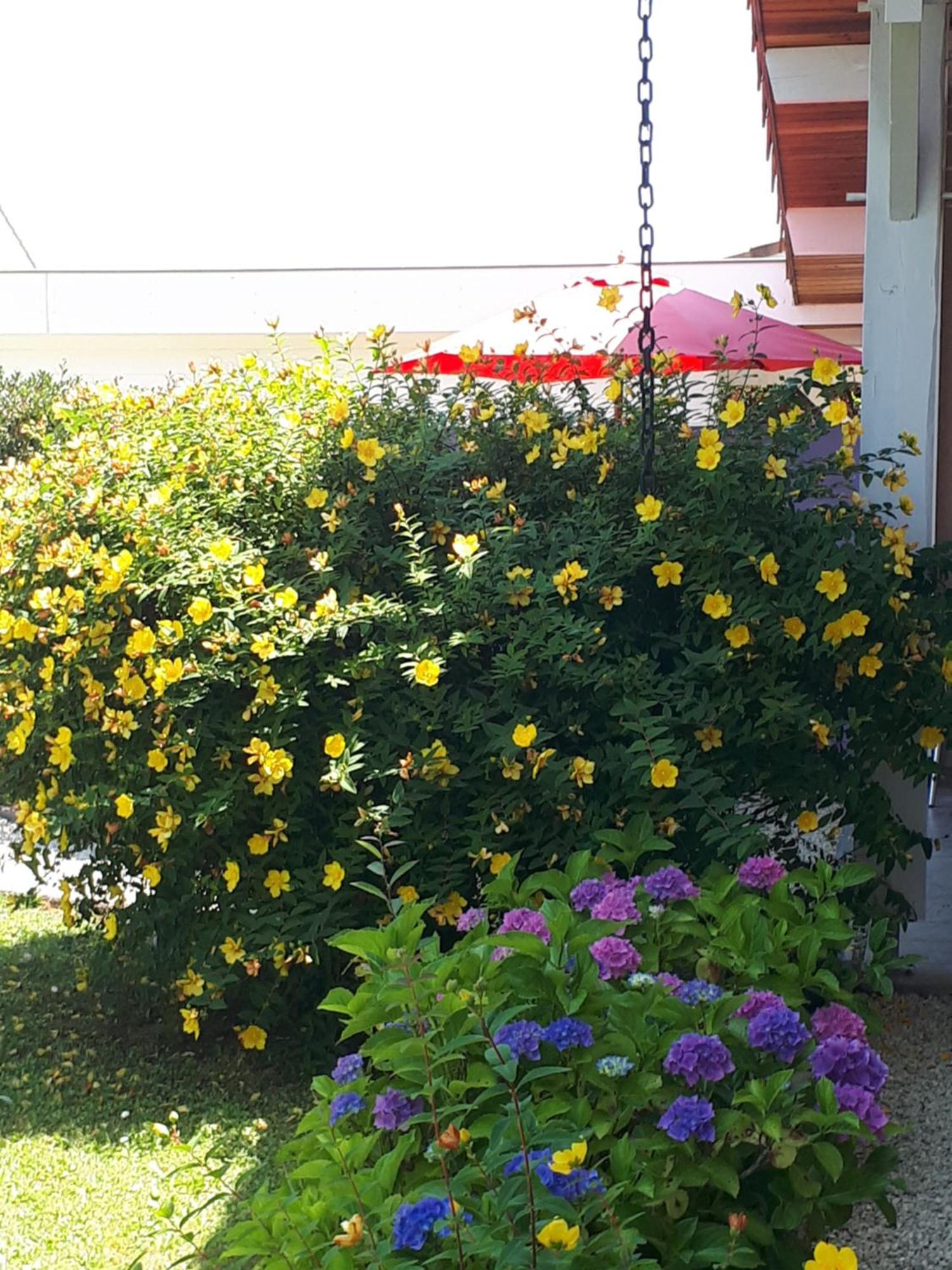 Le Soleil Couchant Angresse Quarto foto